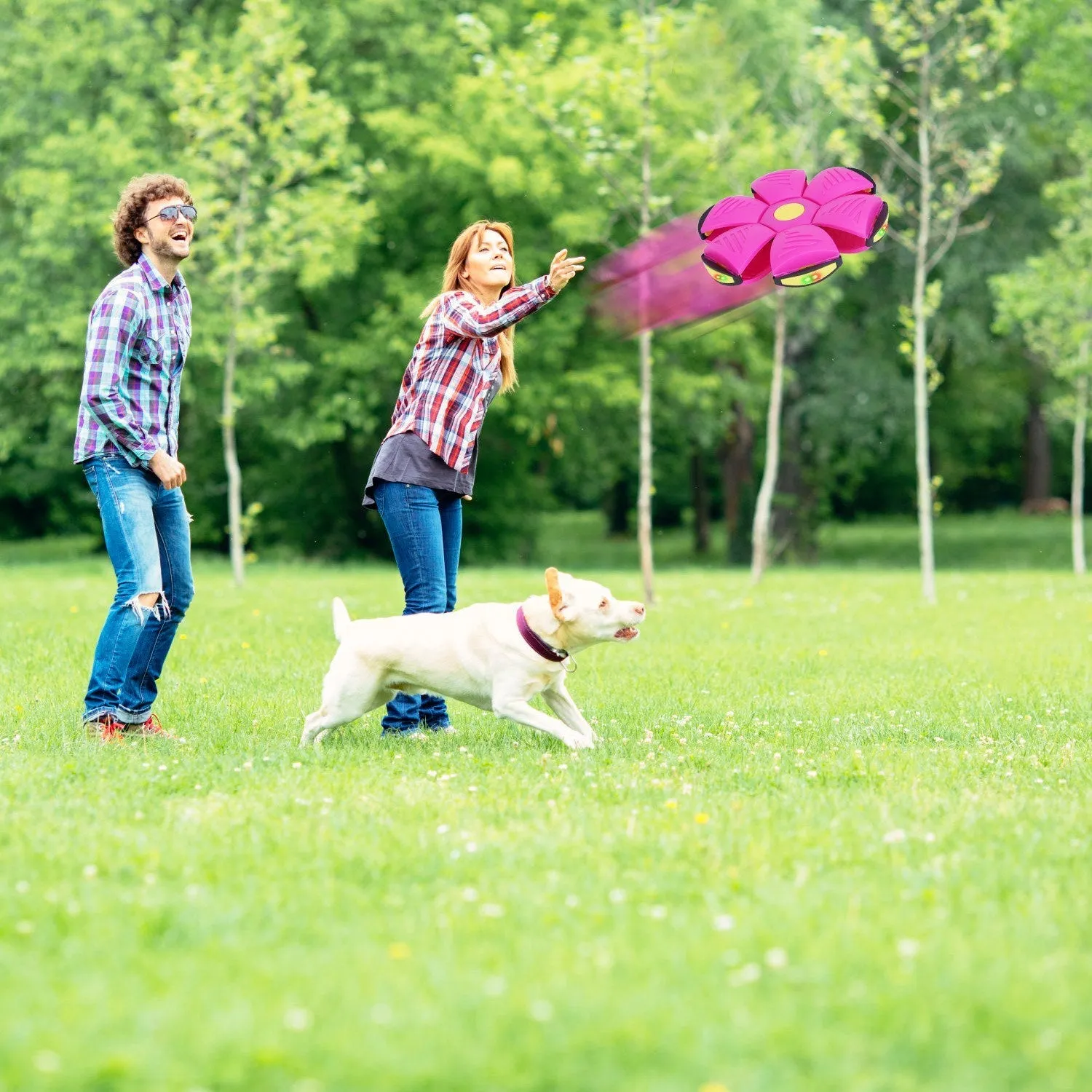 4 Pack Flying Saucer Ball Electric Colorful Flying Toy UFO Ball with LED Lights for Pet Children Outdoor Toy