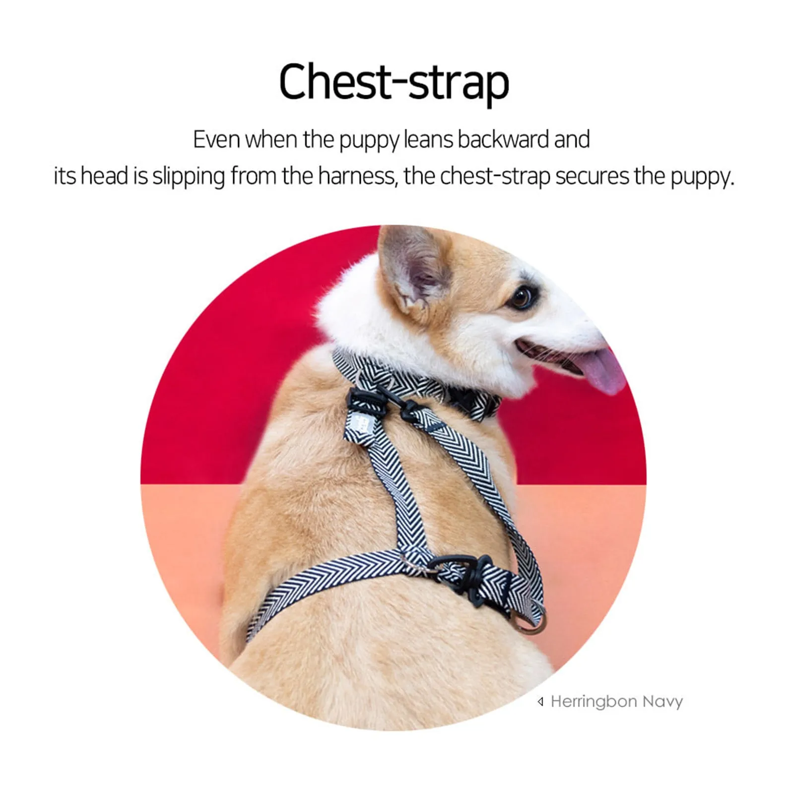 Adjustable No-Pull Dog Harness, Double-Lined Straps, M - Banhamsisun