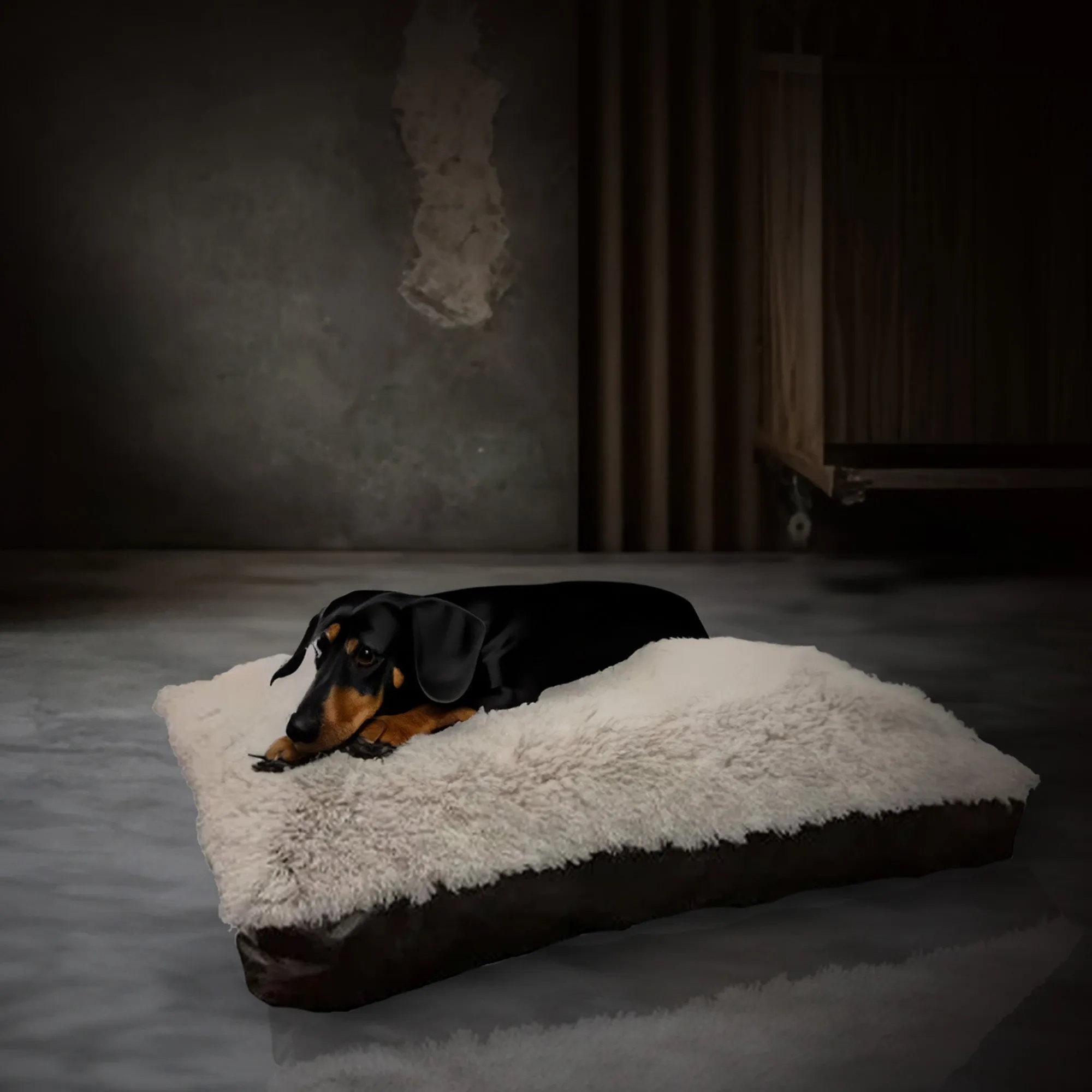 Aspen Pet 36 x 27" Faux Leather Gusset Pillow Pet Bed with Removeable Cover
