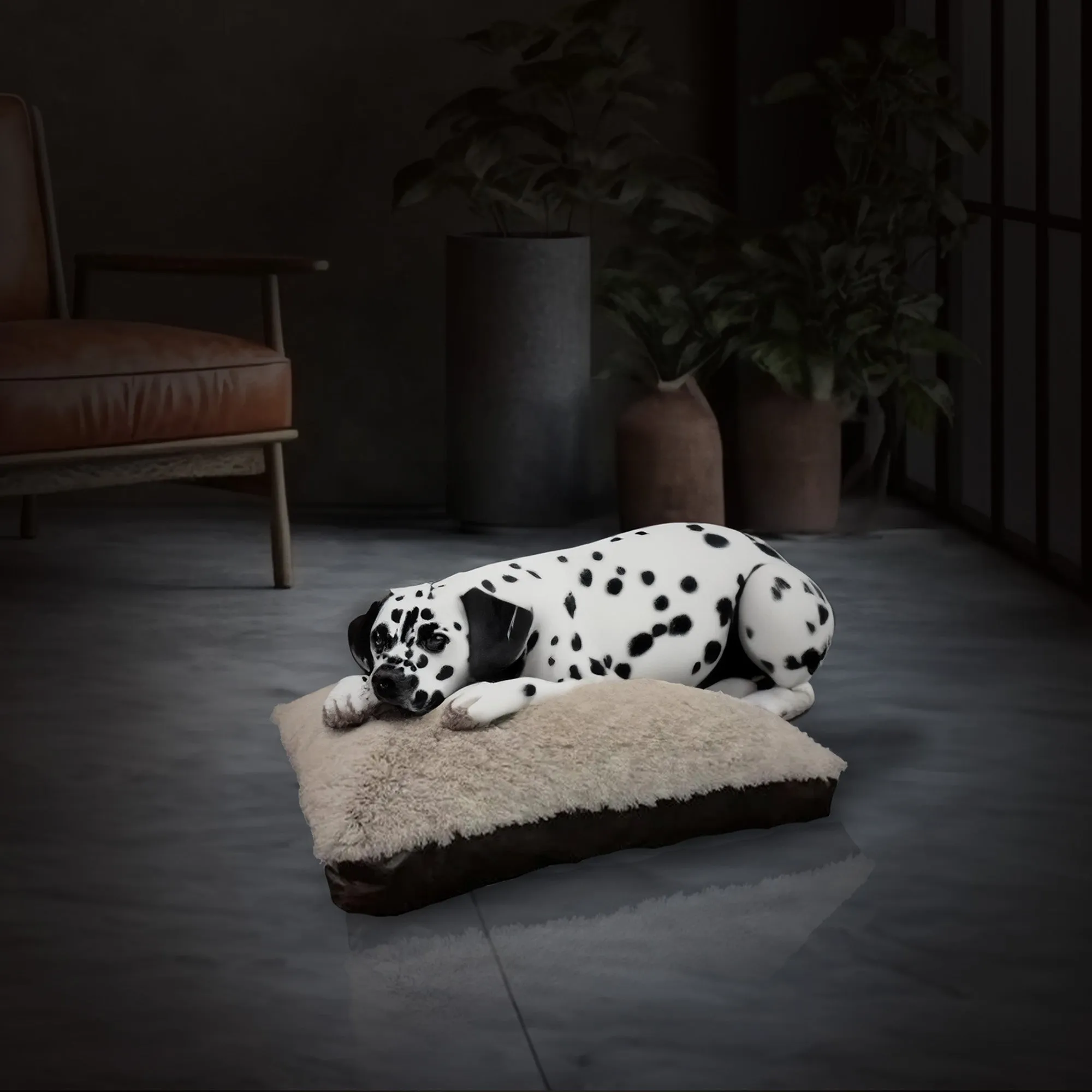 Aspen Pet 36 x 27" Faux Leather Gusset Pillow Pet Bed with Removeable Cover