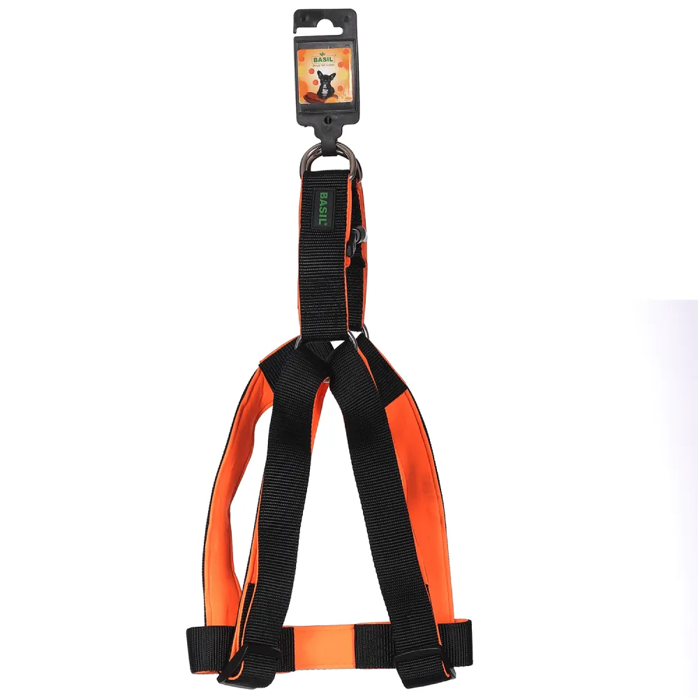 Basil Nylon Padded Adjustable Harness, Nylon Padded Leash and Padded Collar for Dogs Combo (Black) - L