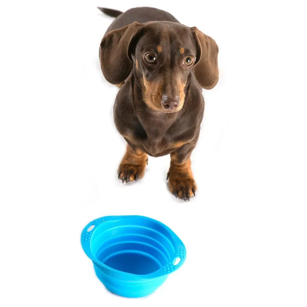 Beco Collapsible Travel Bowl