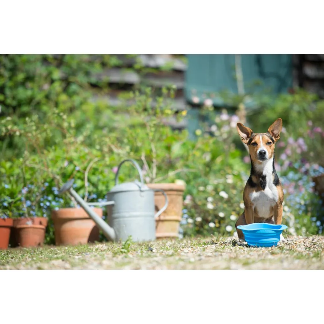 Beco Collapsible Travel Bowl