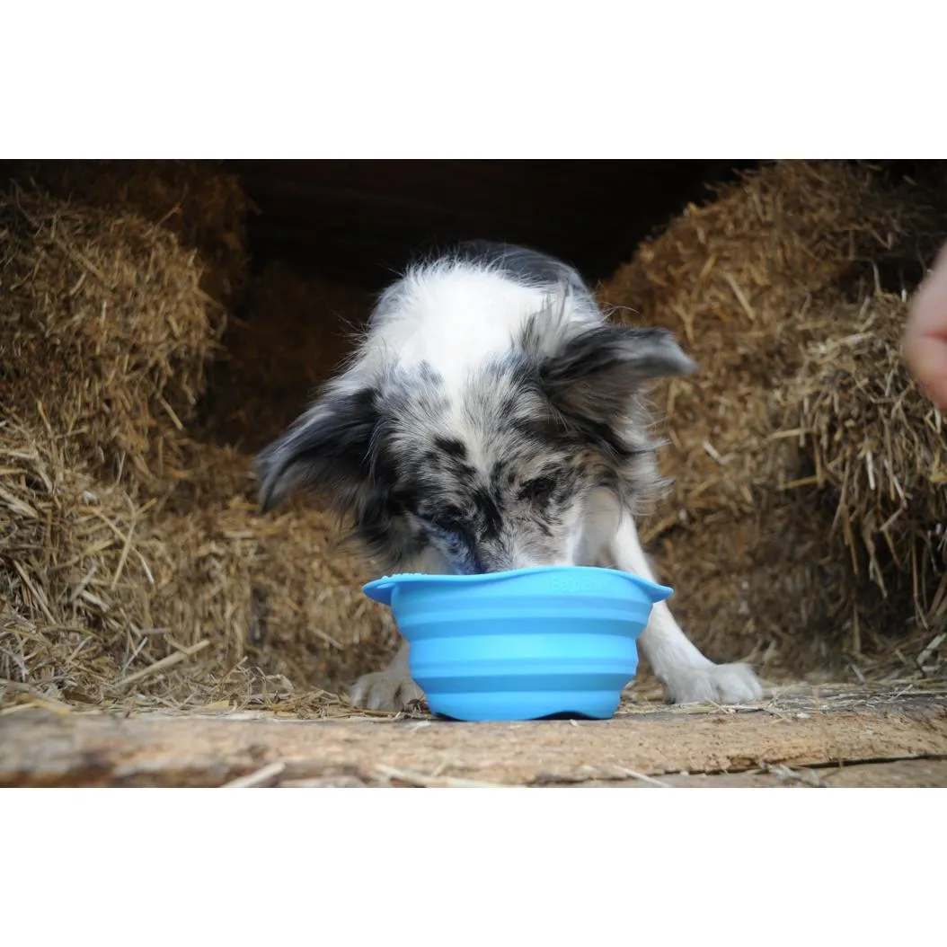 Beco Collapsible Travel Bowl