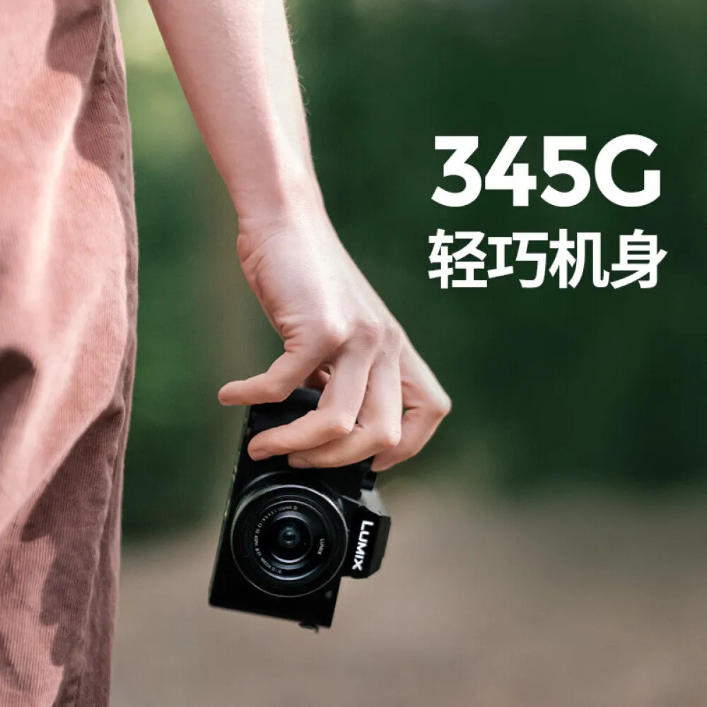 Camera Panasonic G100K 12-32mm