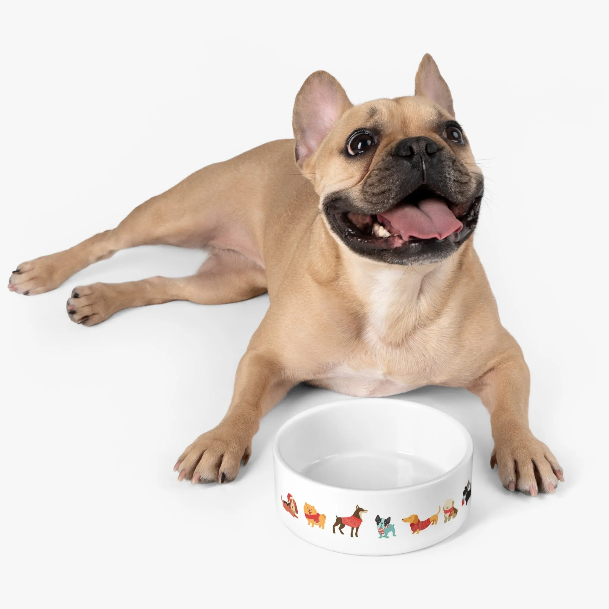 Christmas Pet Bowl