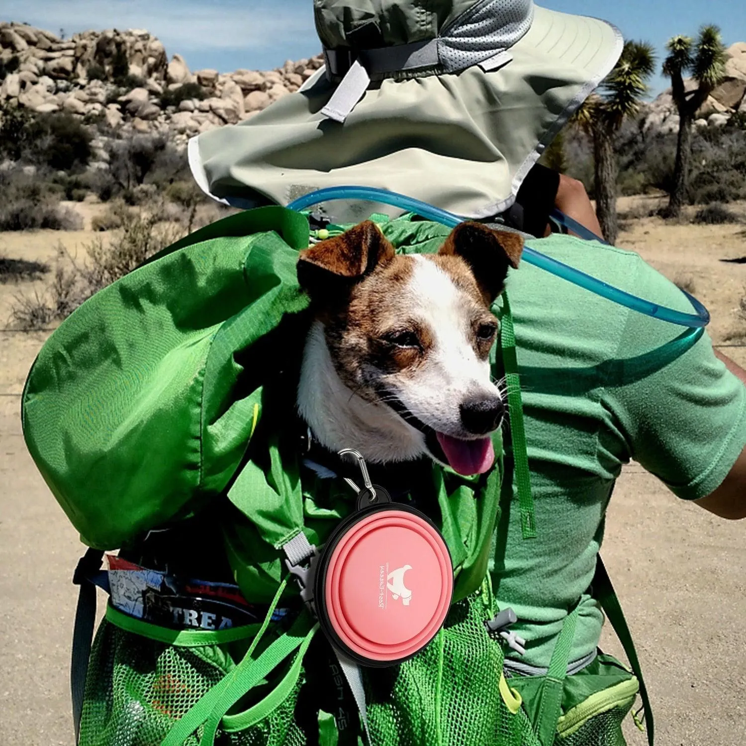Collapsible Pet Bowls for Travel