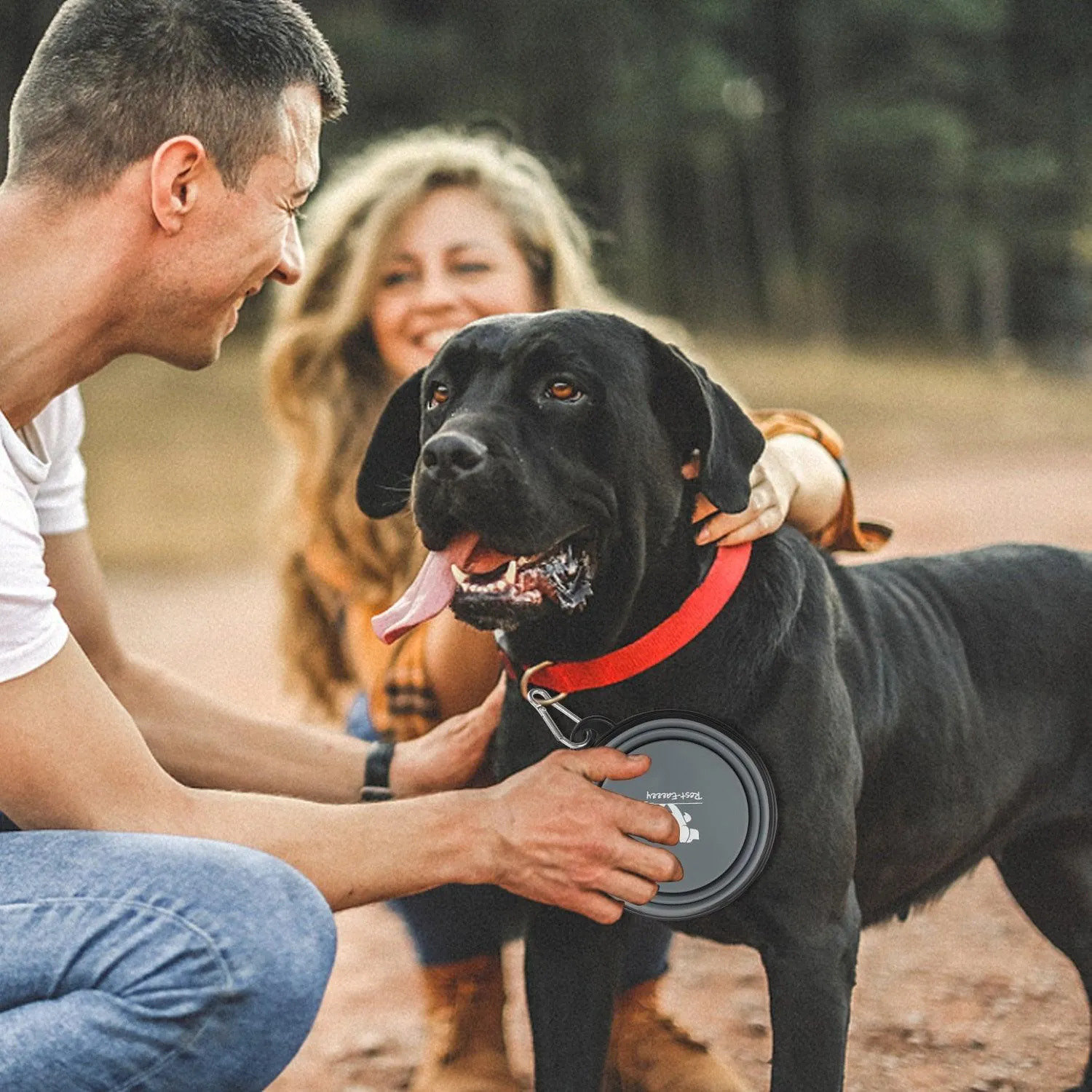Collapsible Pet Bowls for Travel