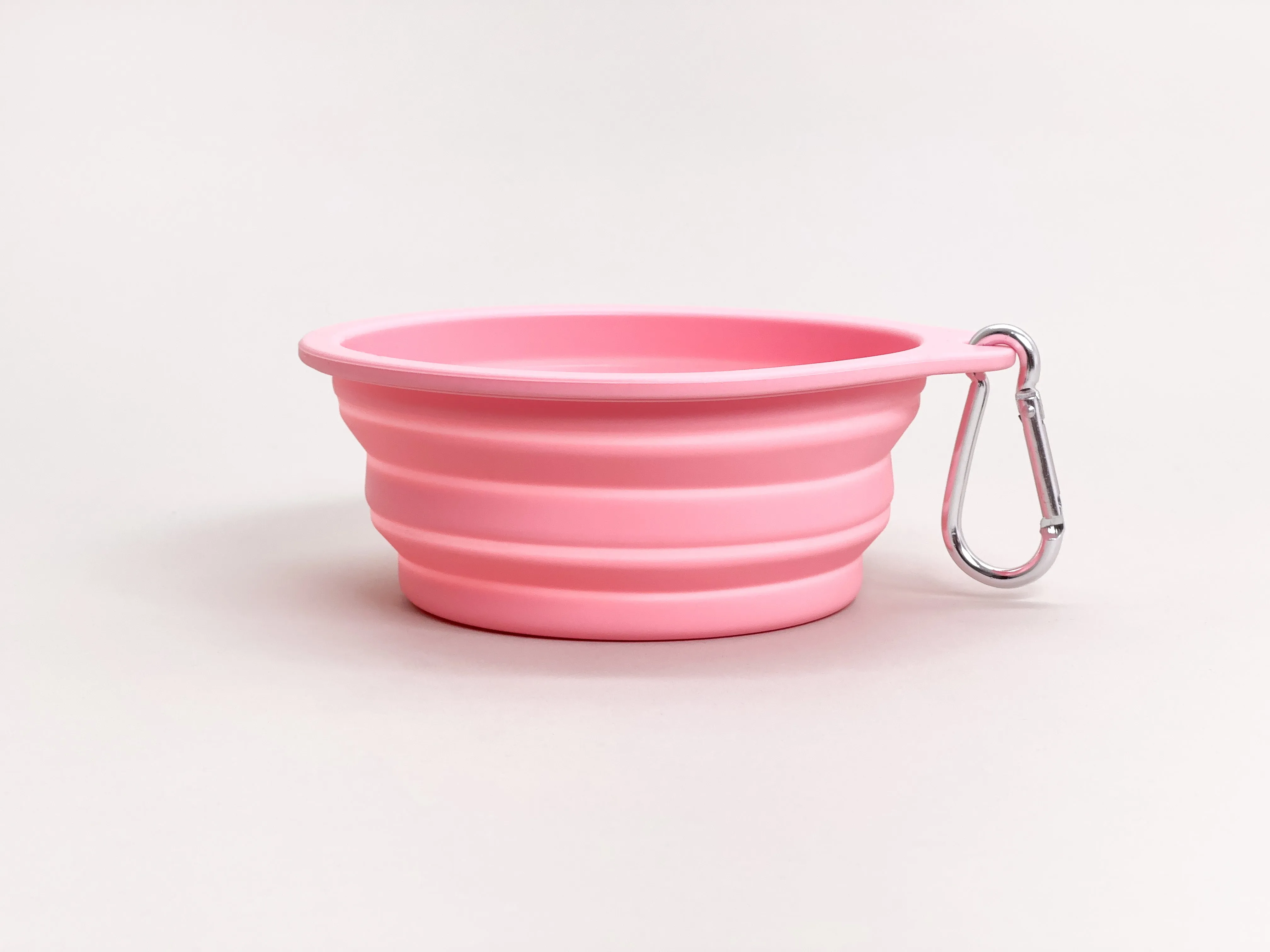 Collapsible Travel Bowl