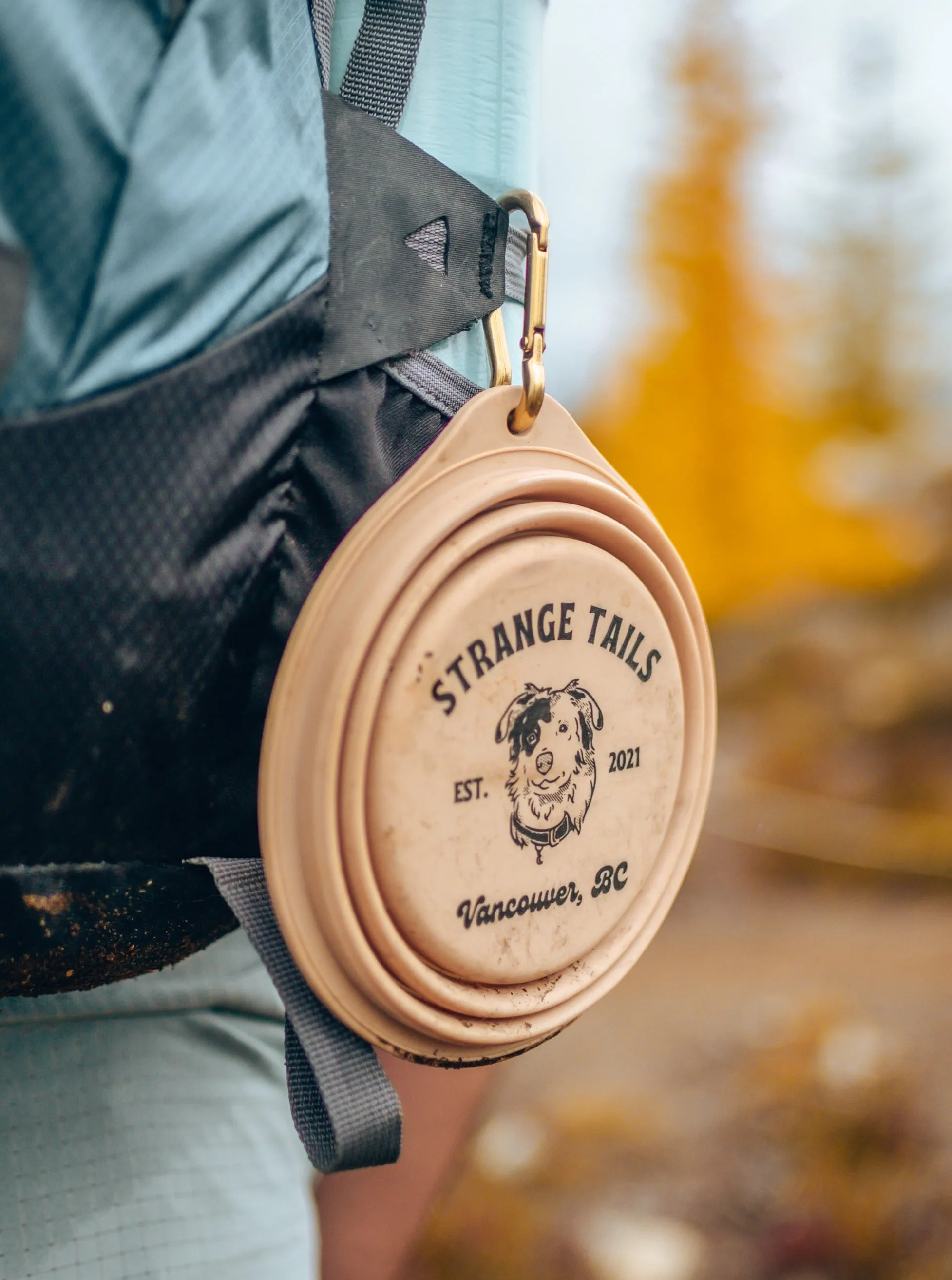 Collapsible Travel Bowl