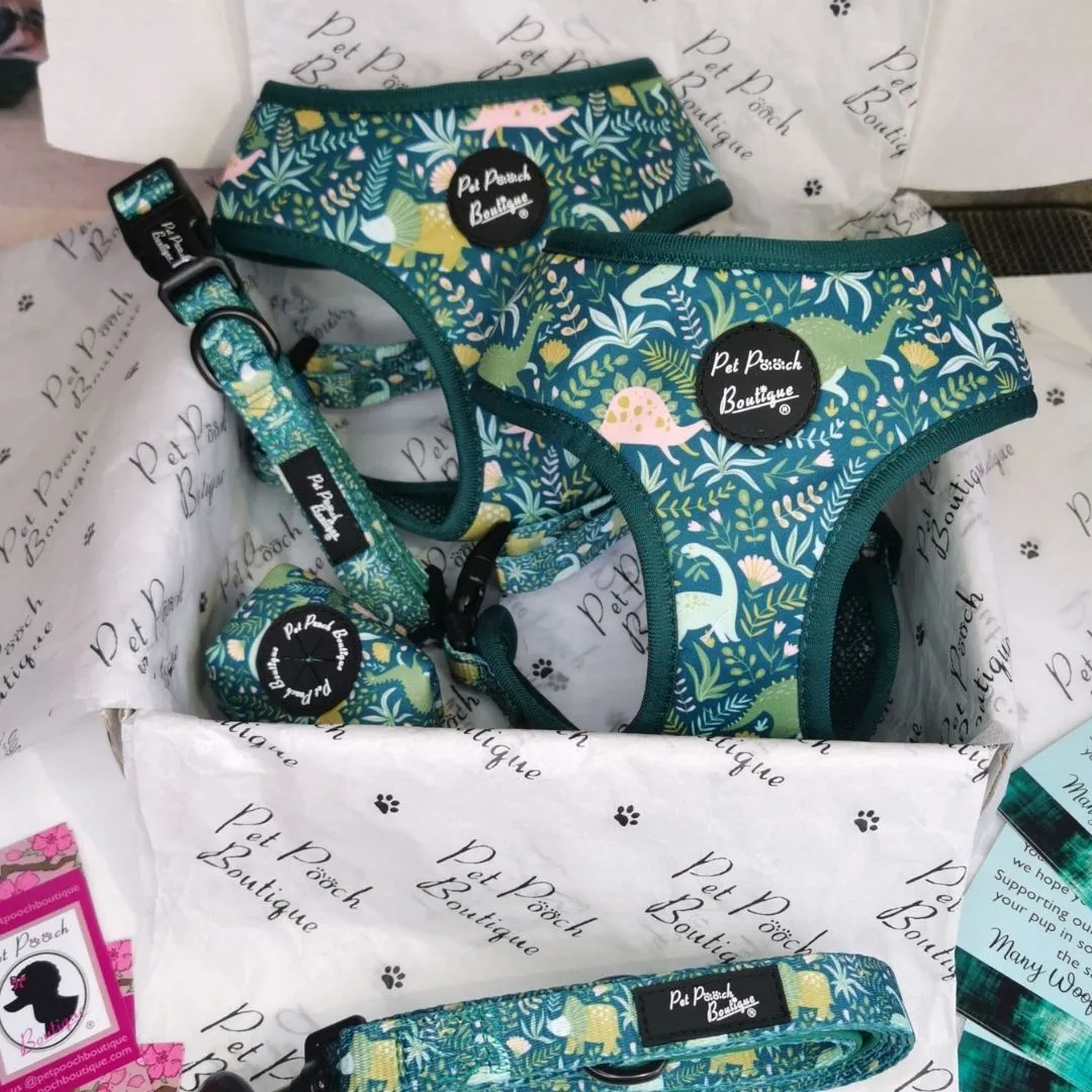Dino Rawr Dog Collar