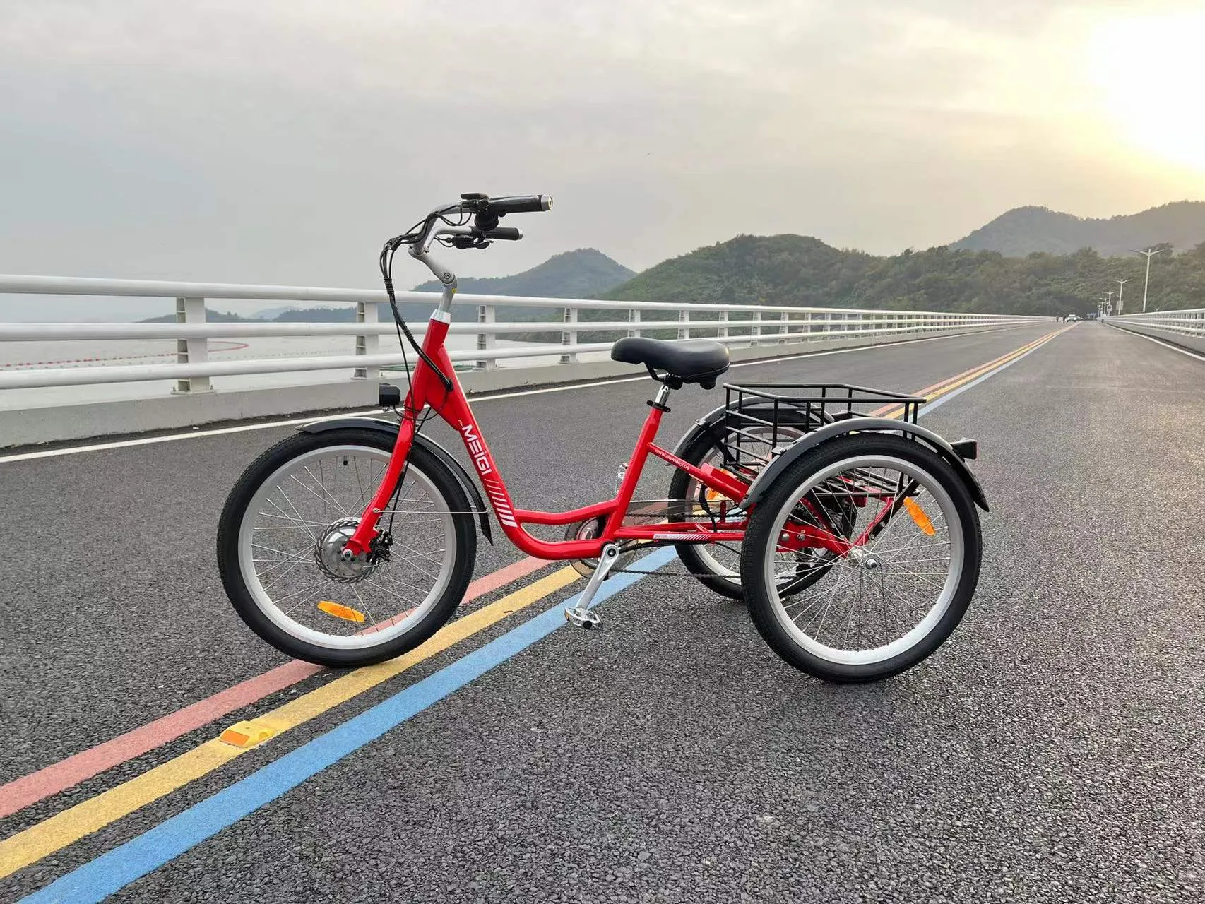 DWMEIGI Hera MG708 36V/13Ah 350W Step-Thru Electric Trike