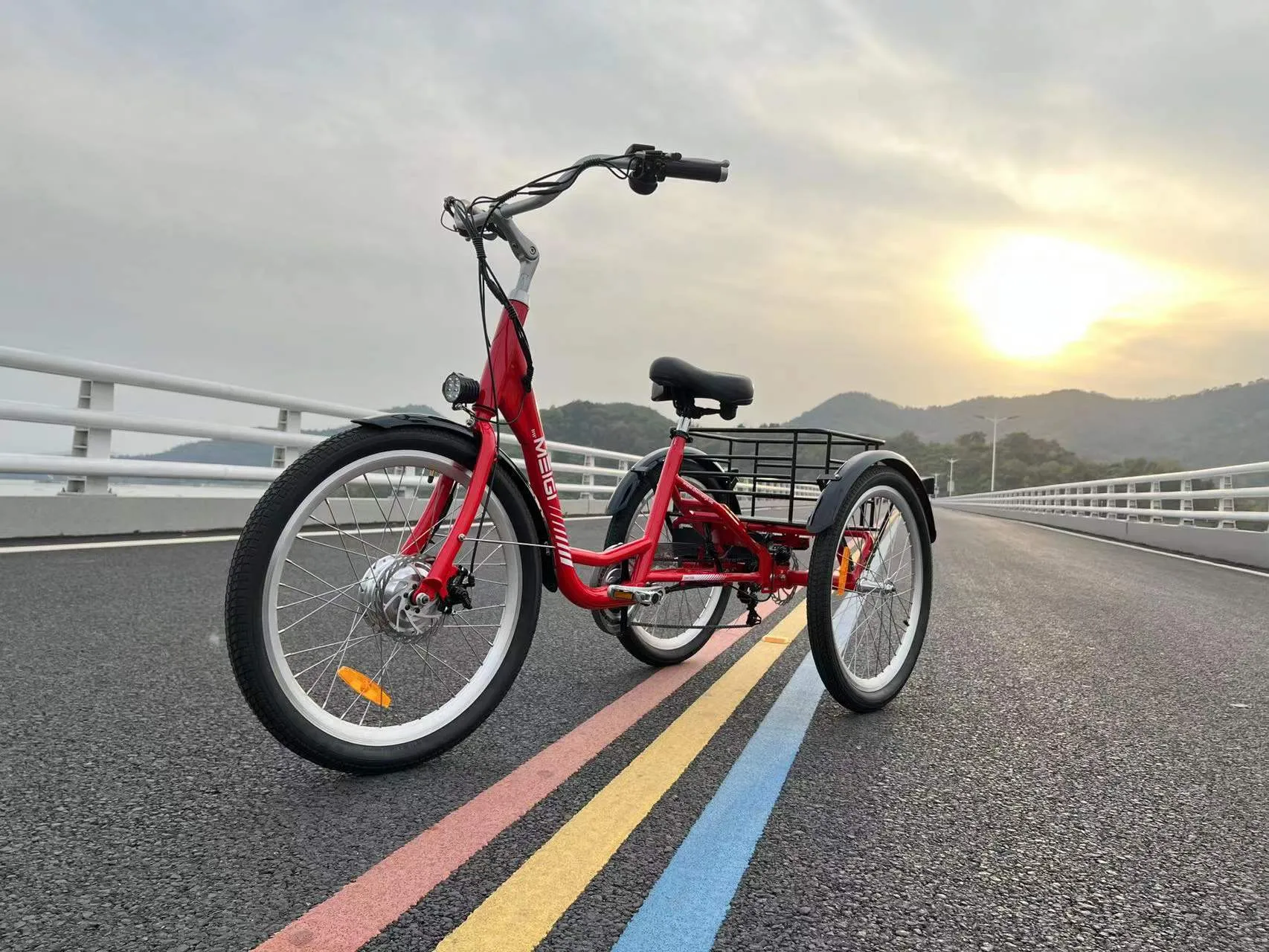 DWMEIGI Hera MG708 36V/13Ah 350W Step-Thru Electric Trike