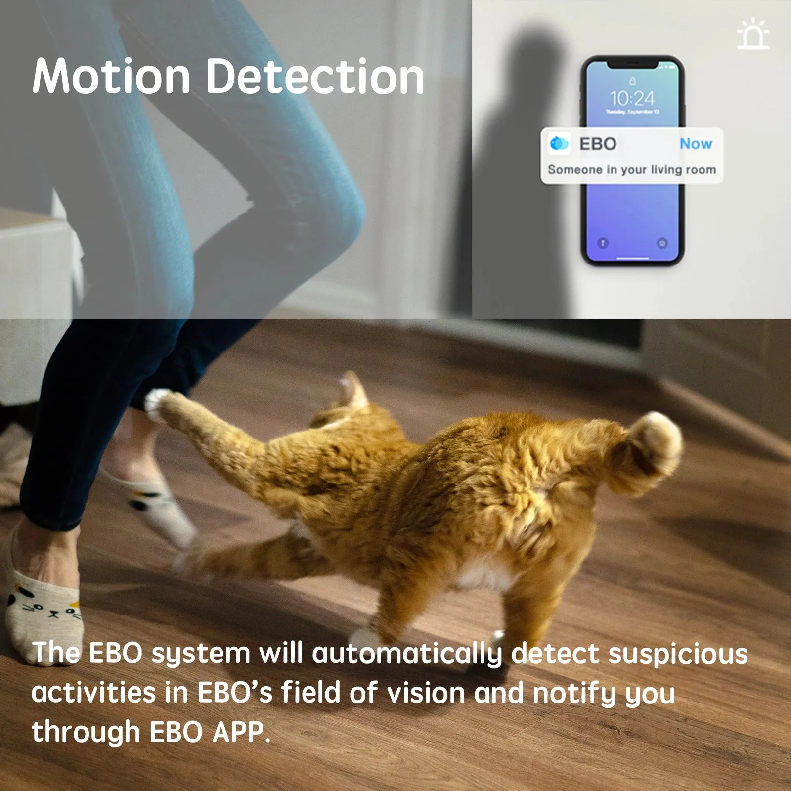 Enabot Indoor Surveillance Pet Bot