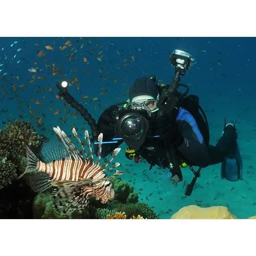 Fantasea BigEye Lens F Series