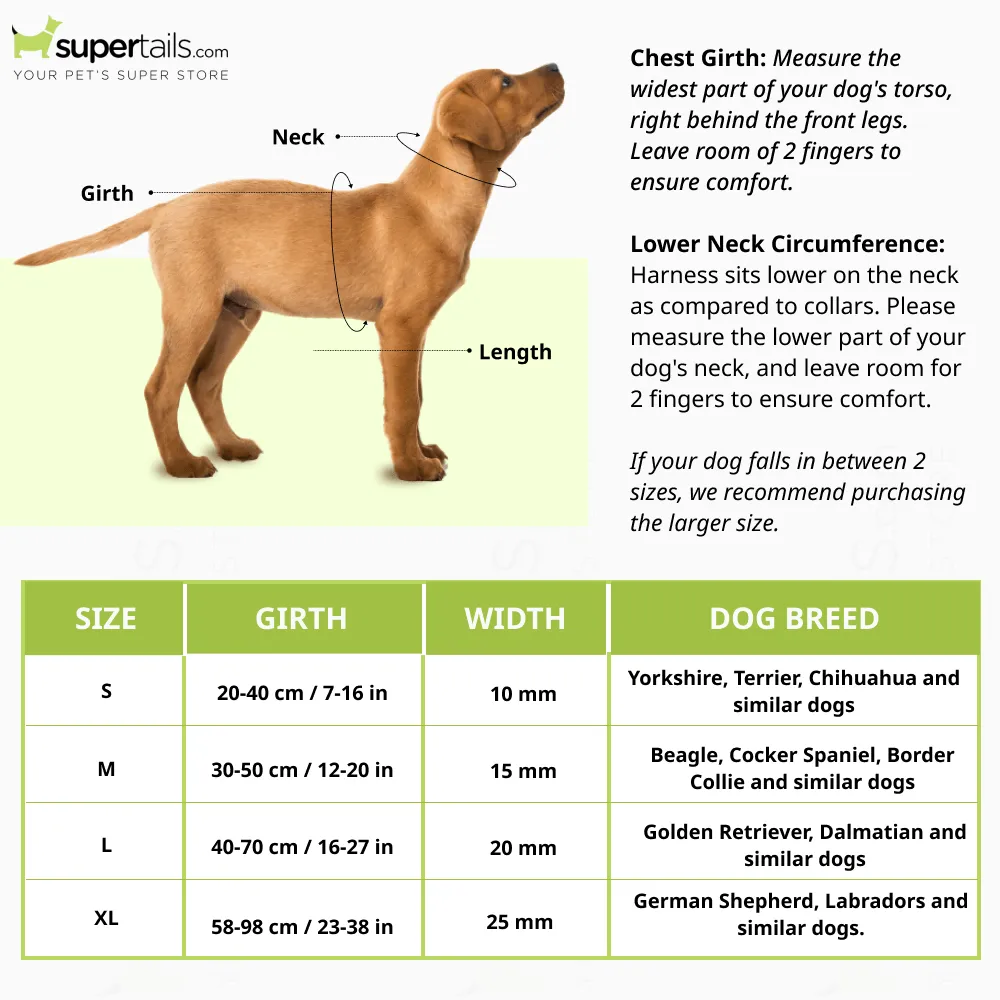GiGwi Classic Line Harness for Dogs (Olive Green)