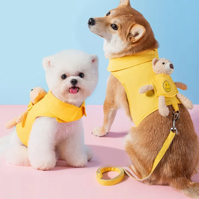 Harness and Leash Set w/ Pocket Bear