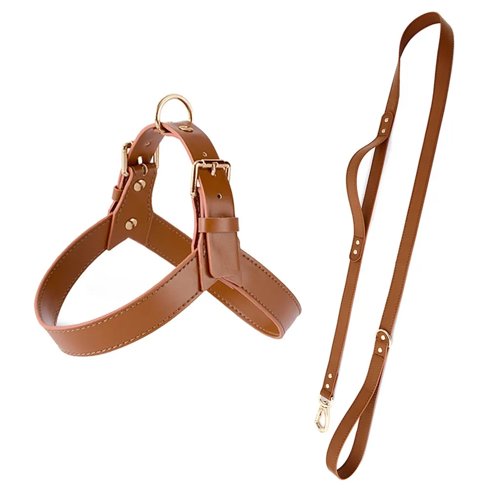 Leather Dog Harness & Leash Set