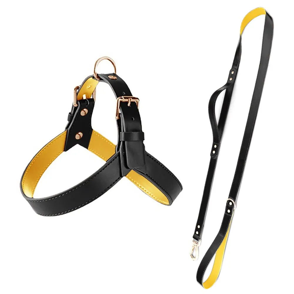 Leather Dog Harness & Leash Set