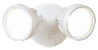 LED Flood Light, Twin-Head, White