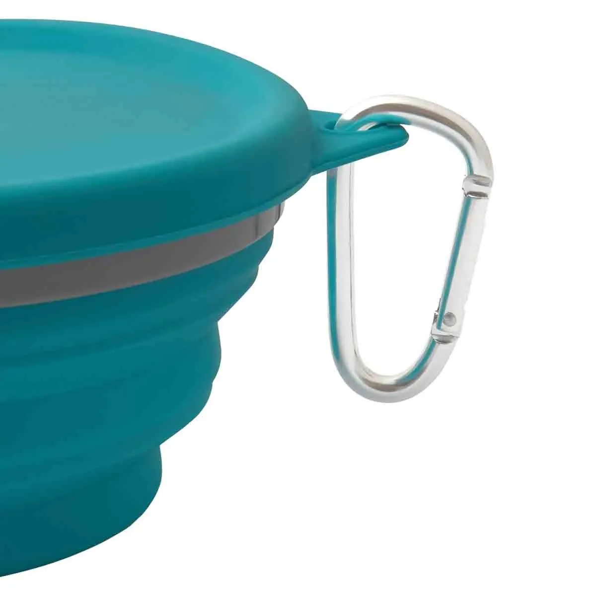 Lexi & Me Collapsible Travel Bowl with Lid