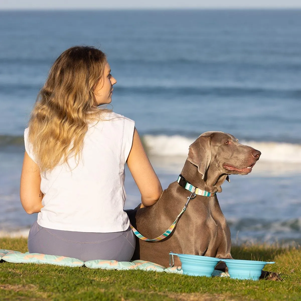 Lexi & Me Double Collapsible Travel Bowl Blue