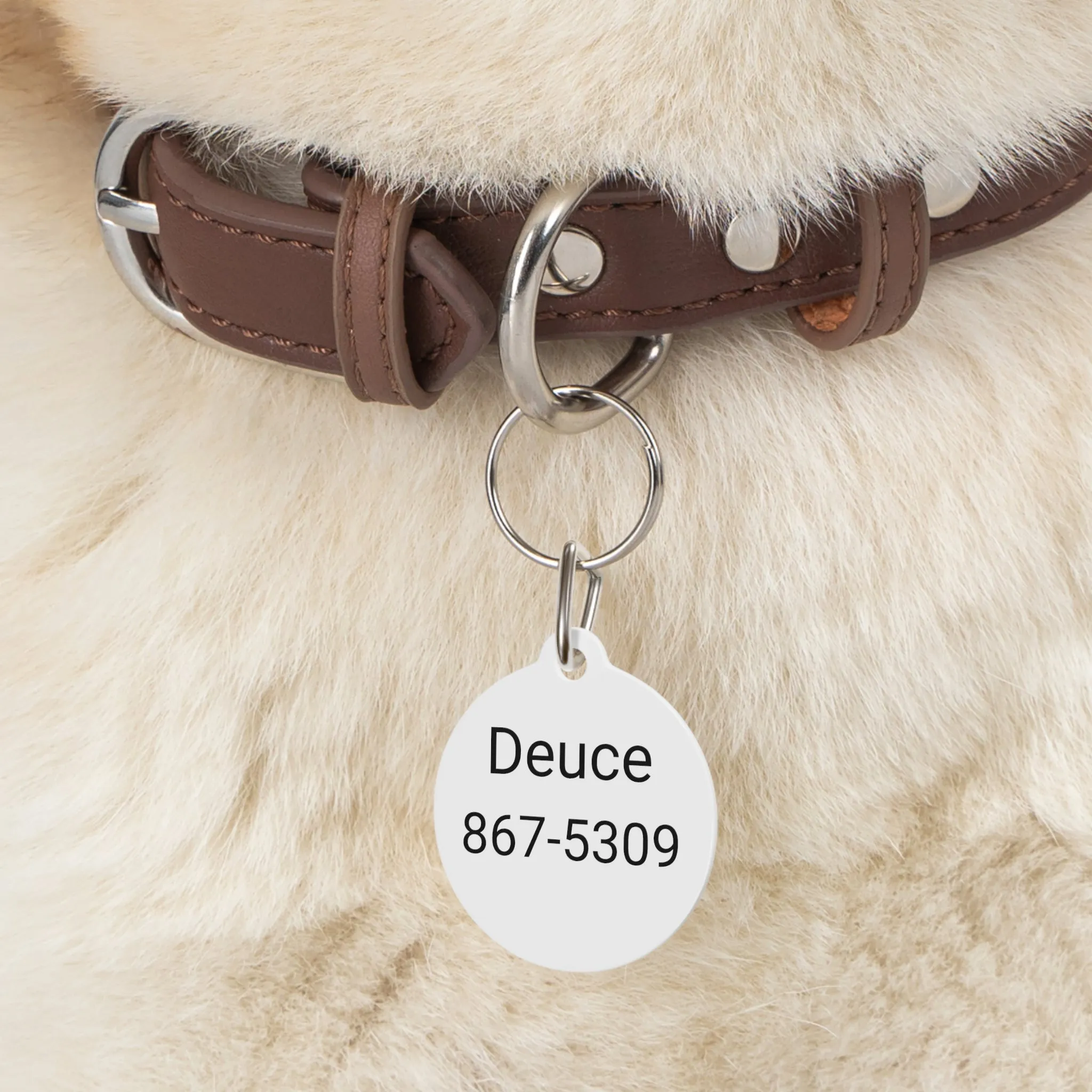 Personalized Customized Pet Tag, Double Side Print, Solid Metal, Dog Tag, Metal Clip Included, FREE Shipping, Made in USA!!