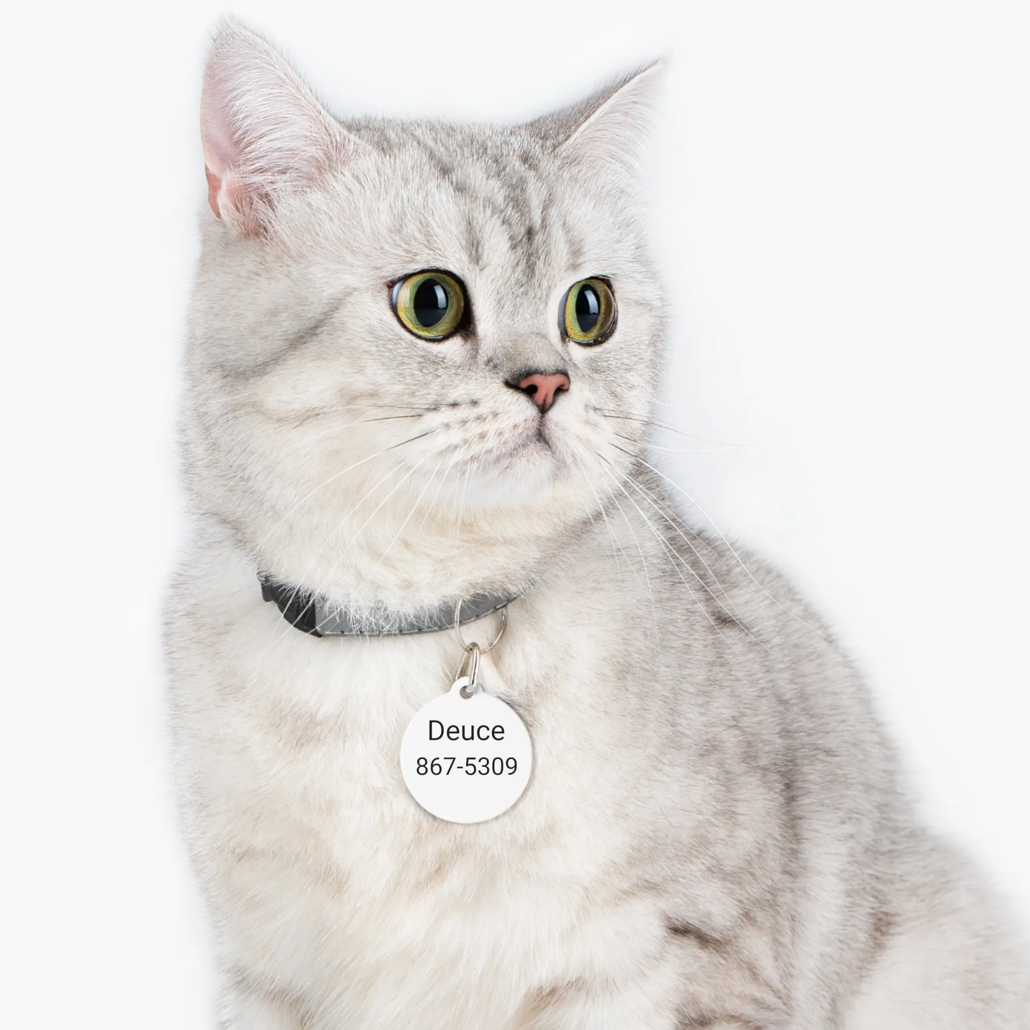 Personalized Customized Pet Tag, Double Side Print, Solid Metal, Dog Tag, Metal Clip Included, FREE Shipping, Made in USA!!