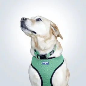 PET HARNESS Green - Embroidered