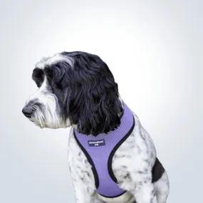 PET HARNESS Purple - Embroidered