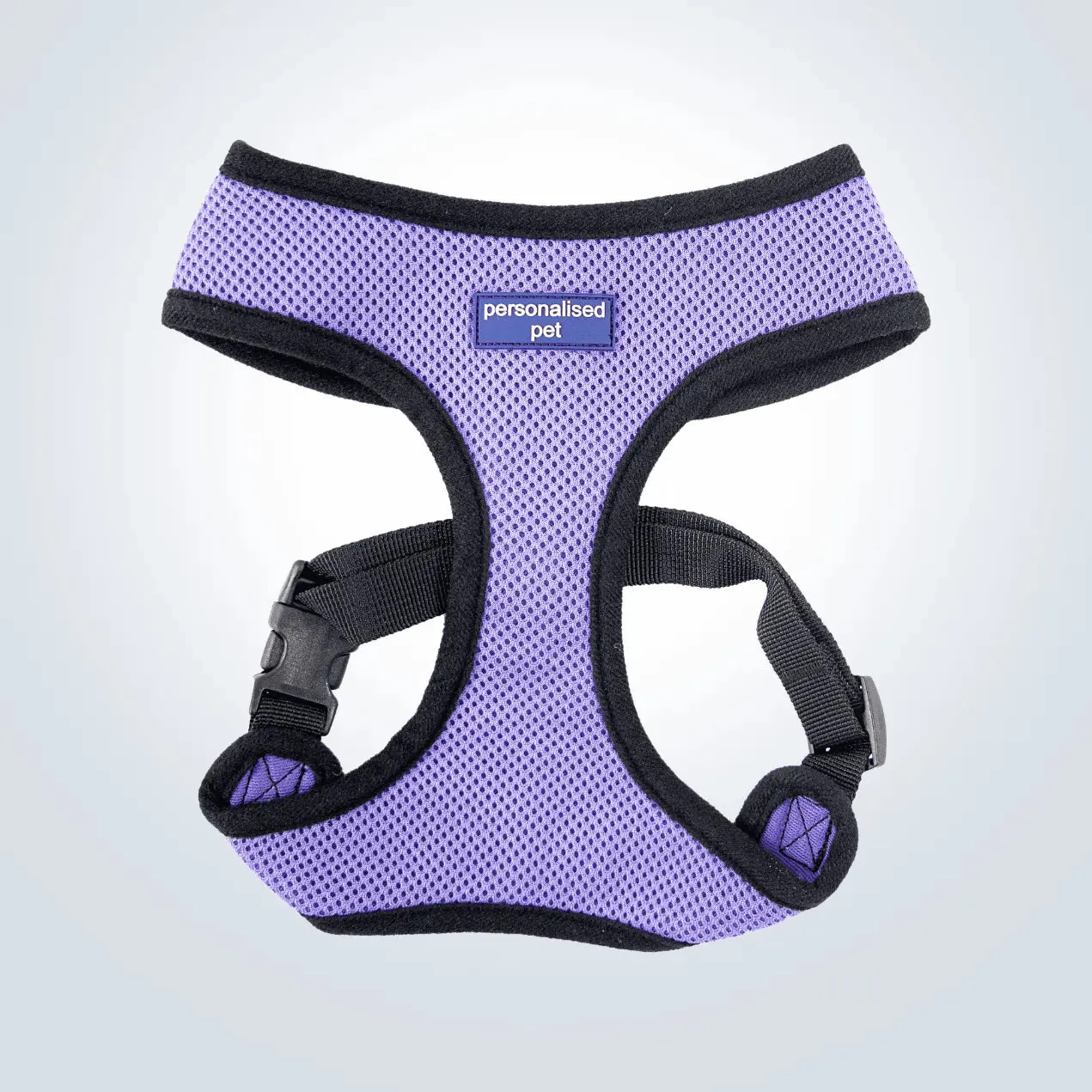 PET HARNESS Purple - Embroidered