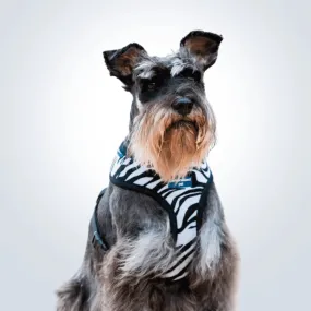 PET HARNESS Zebra - Embroidered