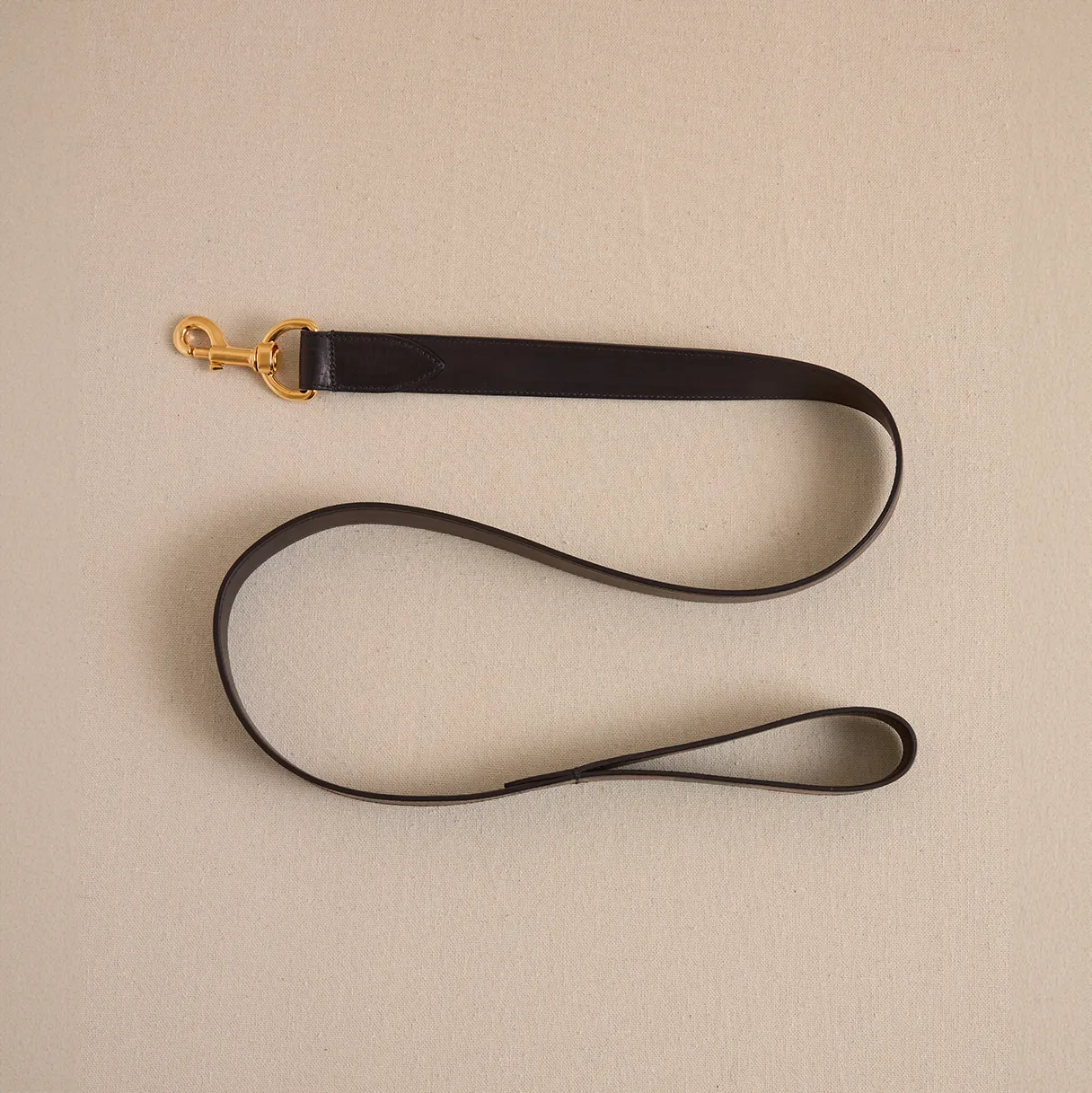 Pet Leash 30 Black
