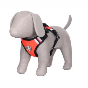 Pets Like Padded Double Side Harness for Dogs (Orange)