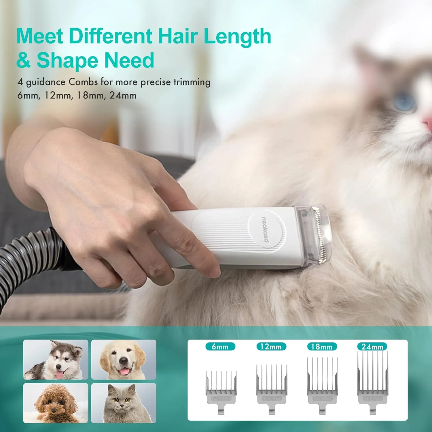 Pro Pet Grooming Kit