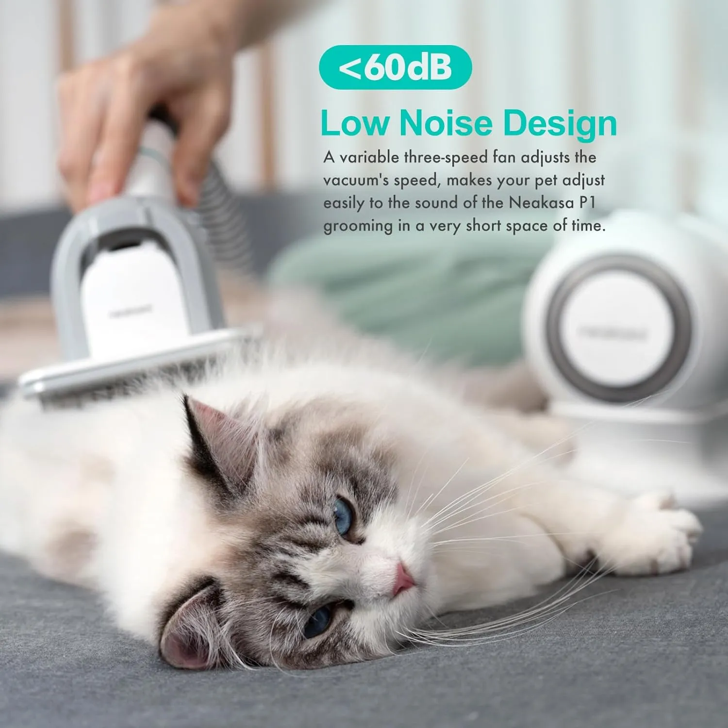 Pro Pet Grooming Kit