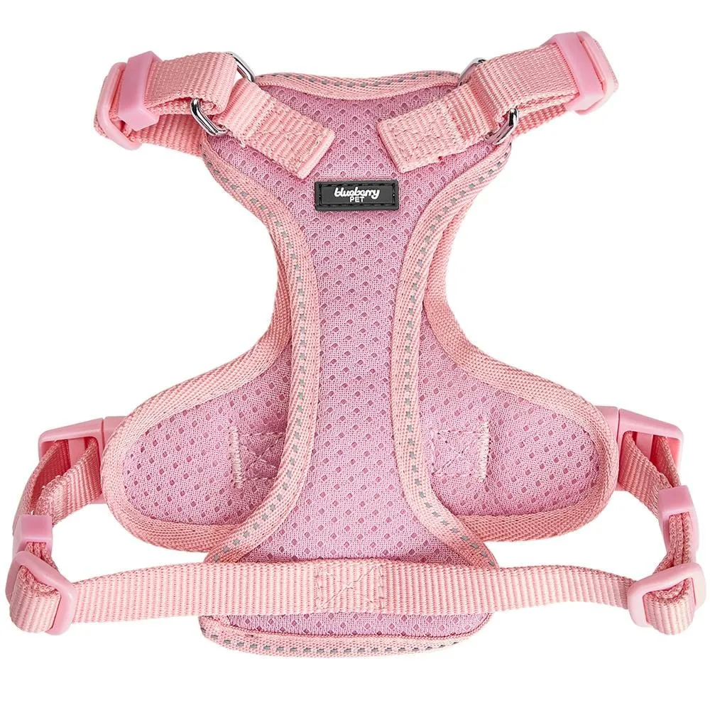 Reflective Cat Harness & Leash Set with Bell