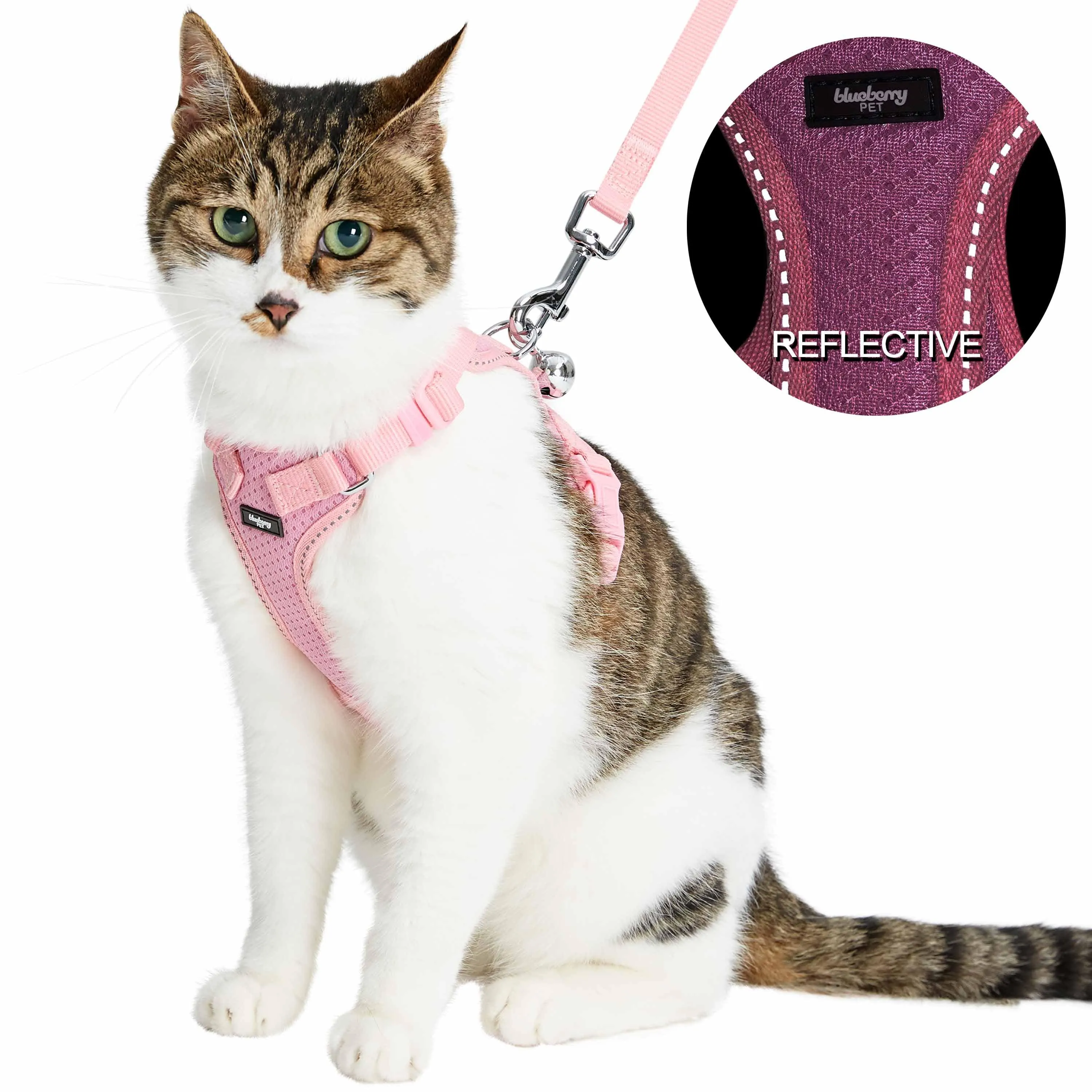 Reflective Cat Harness & Leash Set with Bell