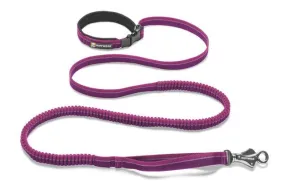 Roamer Leash