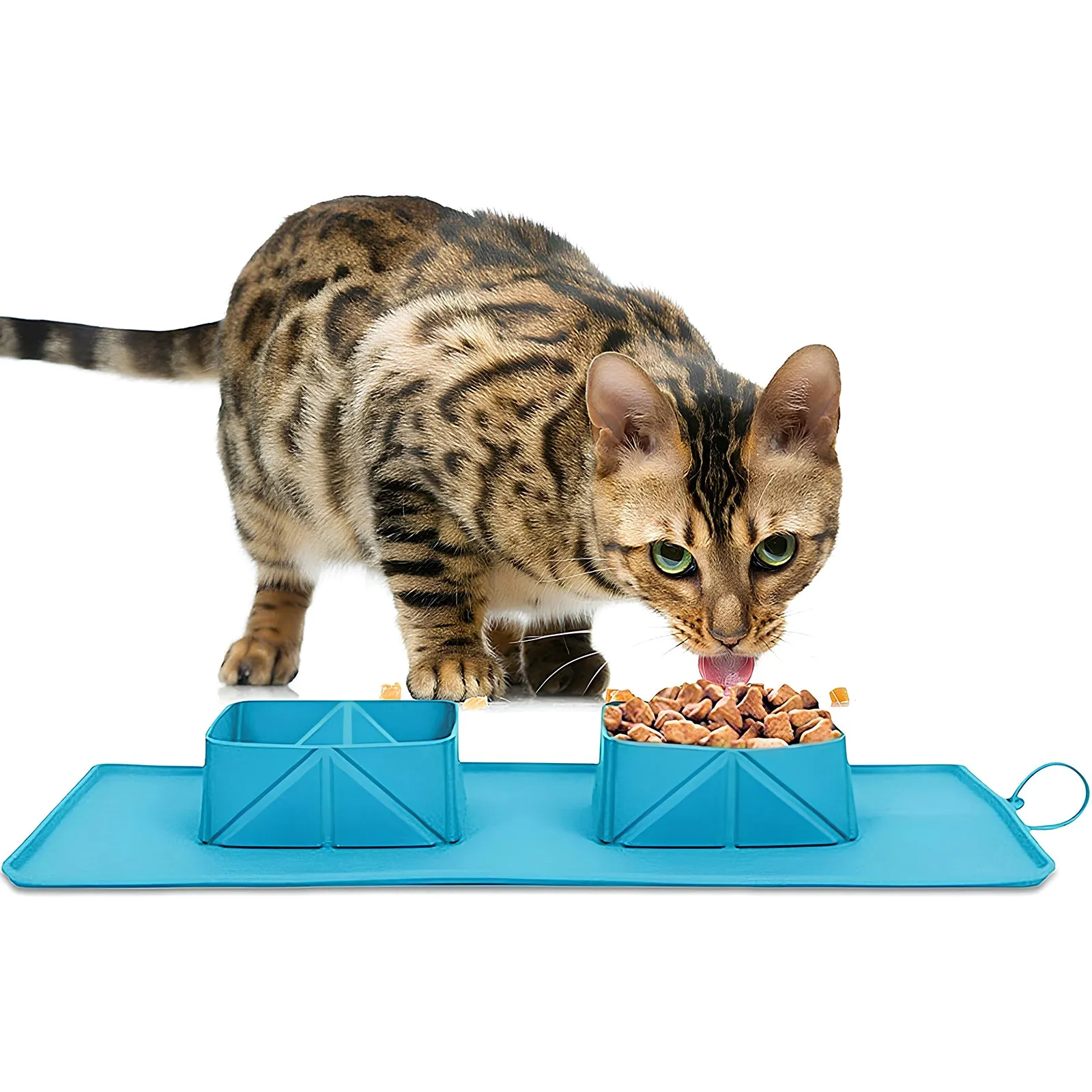 Silicone Collapsible Pet Bowl