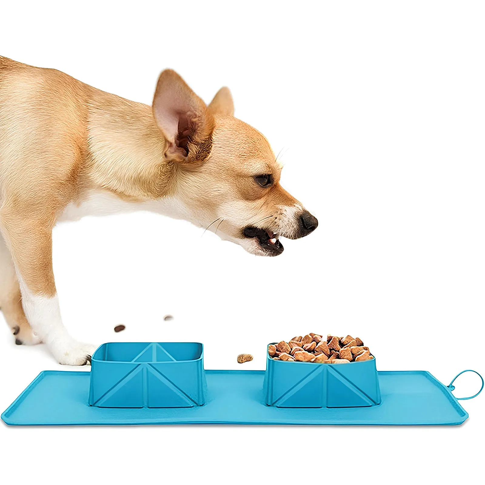 Silicone Collapsible Pet Bowl