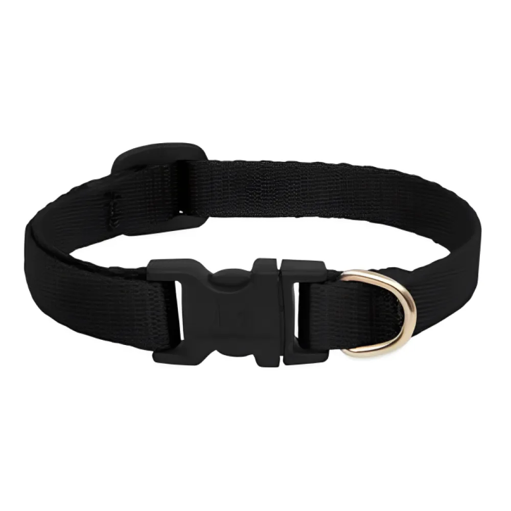 Skatrs Adjustable Collar with Bell for Cats & Kittens (Buy 1 Get 1)