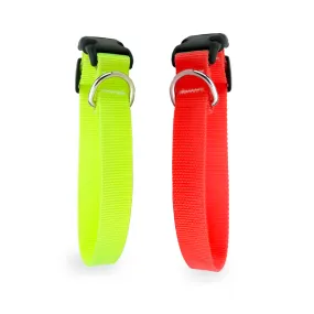 Skatrs Adjustable Collar with Bell for Cats & Kittens Lime Green and Red Combo