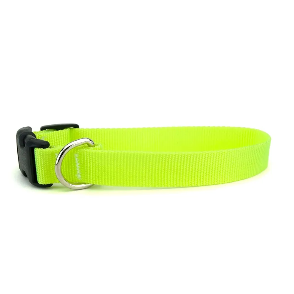 Skatrs Adjustable Collar with Bell for Cats & Kittens Lime Green and Red Combo