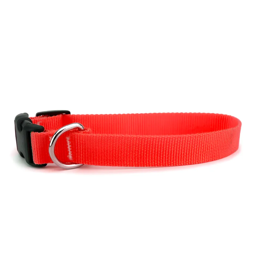 Skatrs Adjustable Collar with Bell for Cats & Kittens Lime Green and Red Combo