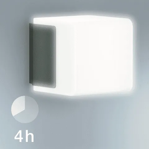 Steinel L 835 Outdoor Sensor Garden Light – Smart Bluetooth-Controlled LED Lighting via App