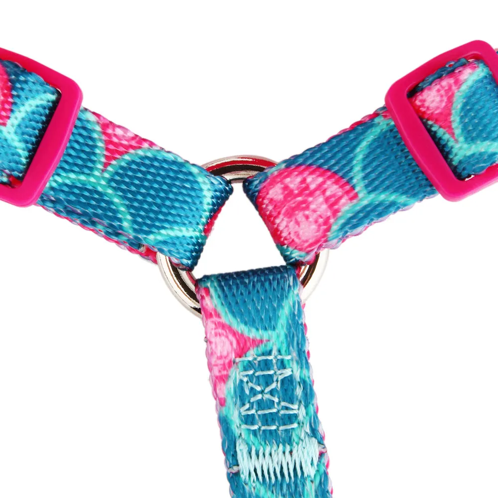 Sunshine Expressions Dog Harness | "You are my Sunshine" Collection
