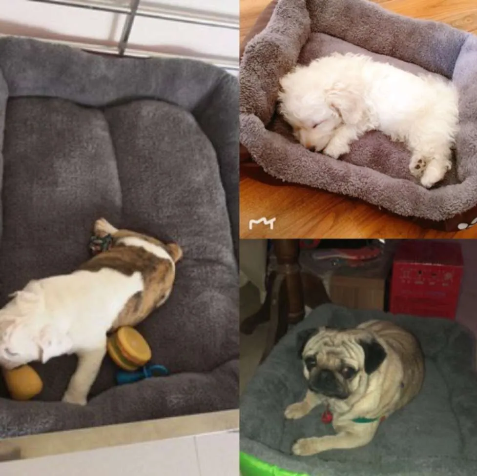 Super Plush Orthopedic Dog Bed - Ultimate Comfort & Support for Your Pet!