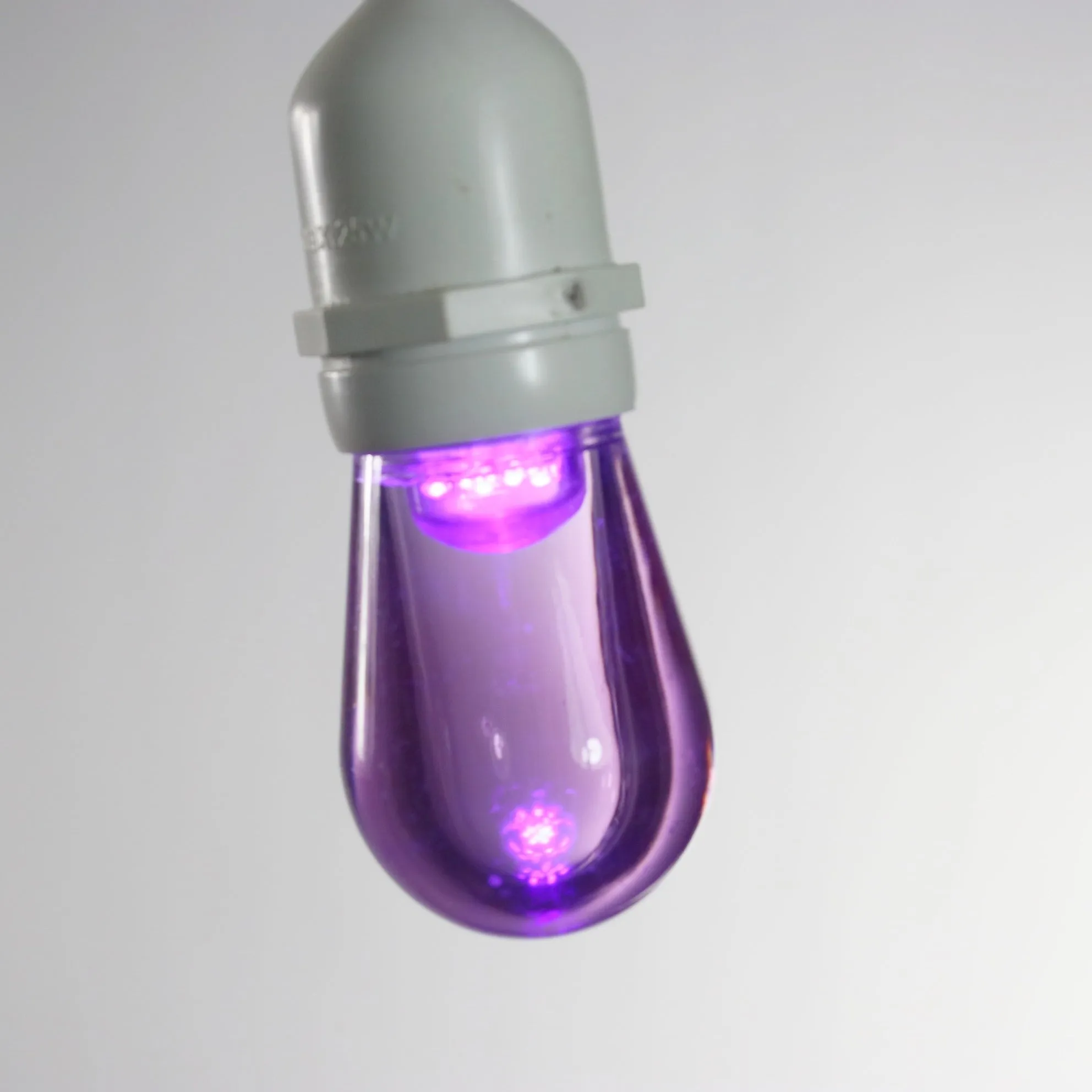 T50 Purple Smooth LED Bulbs E26 Bases (25 Pack)