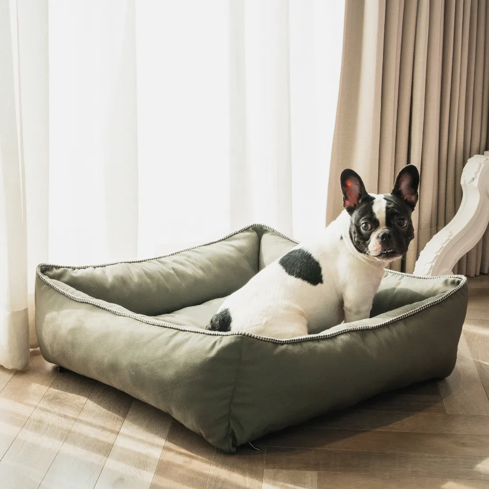 The Olive Lounger Dog Bed